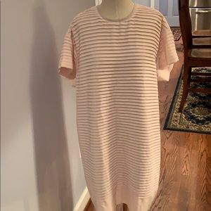 J Crew Pale pink dress!